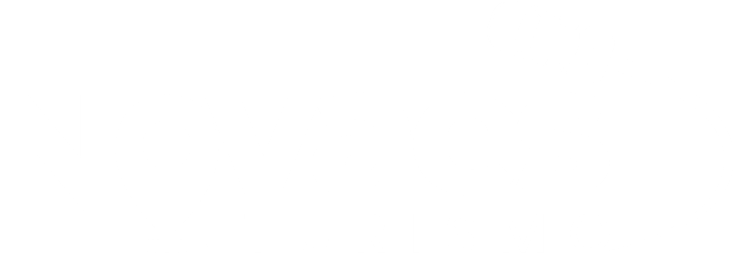 Novaes Tur